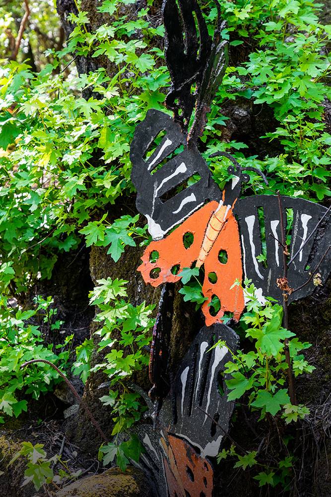 Butterflies